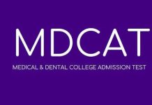 MDCAT to be held on Sept 20 with enhanced security, health minister