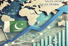 پاکستان کی ترسیلات زر میں نمایاں اضافہ، ملکی معیشت اور عالمی اعتماد میں پیشرفت