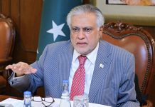 یوم سیاہ کشمیر پرنائب وزیر اعظم اسحاق ڈارکا پیغام، کشمیریوں کےحق خودارادیت کی حمایت کا اعادہ
