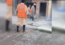 صاف ستھرا خیبرپختونخوا مہم، گورنر راج کے بعد نئی صوبائی حکومت ان ایکشن